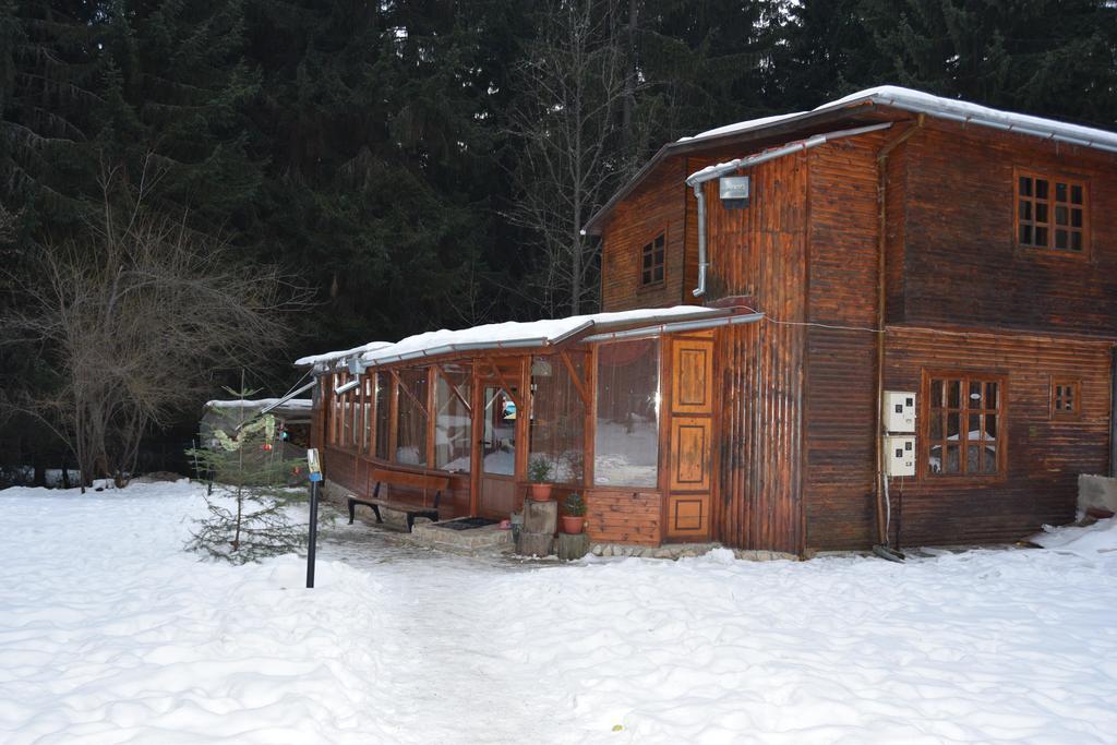 Persey Villa Borovets Exterior foto